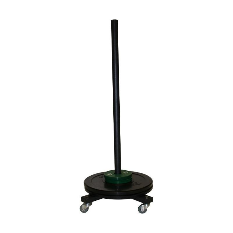 SUPPORT DE RANGEMENT DE DISQUE DE MUSCULATION SUR ROULETTE -DIMASPORT