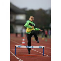 Mini haies scolaires e.p.s.lot de 3 ou 6