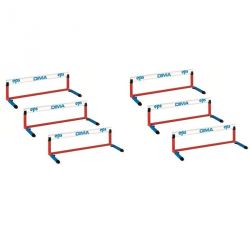 Mini haies scolaires e.p.s.lot de 3 ou 6