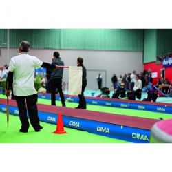 Piste de course surelevee element de longueur 2.50m x largeur 1.22 m