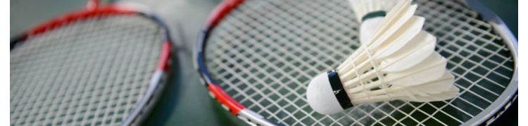 Badminton  | Raquettes et volants pour clubs et associations